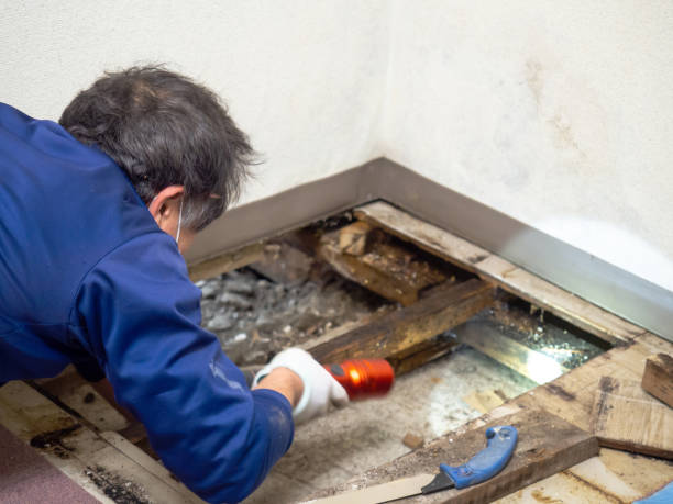 Best Post-Remediation Services in Mcfarland, CA