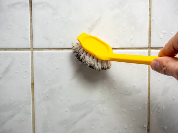 Best Bathroom Mold Remediation in Mcfarland, CA